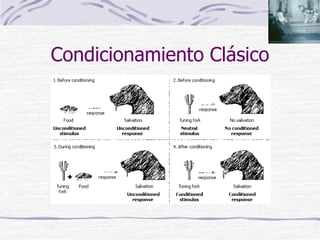 Condicionamiento Clásico
 
