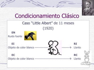 Condicionamiento Clásico
Caso “Little Albert” de 11 meses
(1920)
EN
Ruido fuerte
EI RI
Objeto de color blanco ------------------------------------ Llanto
EC RC
Objeto de color blanco ------------------------------------ Llanto
 