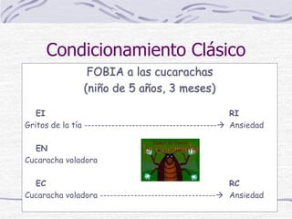 Condicionamiento Clásico
FOBIA a las cucarachas
(niño de 5 años, 3 meses)
EI RI
Gritos de la tía --------------------------------------- Ansiedad
EN
Cucaracha voladora
EC RC
Cucaracha voladora ---------------------------------- Ansiedad
 
