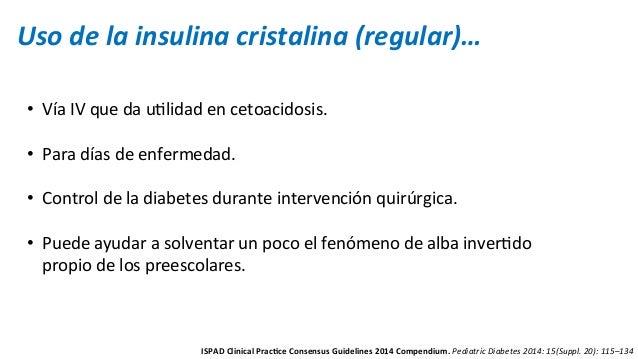 Terapia Con Insulina Simposio - 