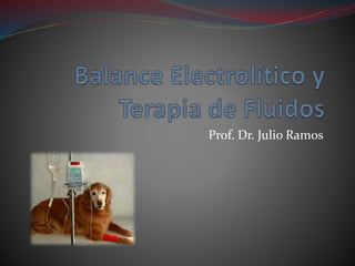 Prof. Dr. Julio Ramos
 