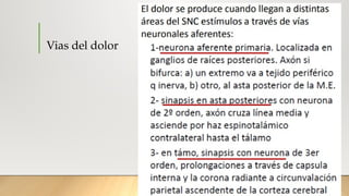 TERAPIA DEL DOLOR, MANEJO Y CONTROL.pptx