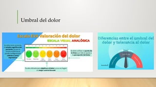 TERAPIA DEL DOLOR, MANEJO Y CONTROL.pptx