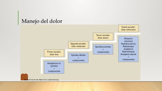 TERAPIA DEL DOLOR, MANEJO Y CONTROL.pptx
