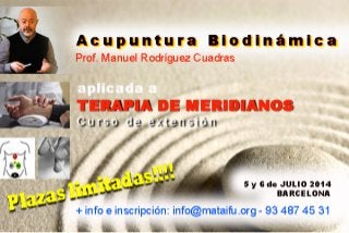 Terapia de meridianos   acupuntura biodinamica