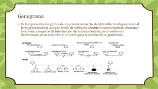 Genograma
• Es la representación grafica de una constelación (Gestalt) familiar multigeneracional
(tres generaciones) que por medio de símbolos permite recoger, registrar, relacionar
y exponer, categorías de información del sistema familiar, en un momento
determinado de su evolución y utilizarlo para la resolución de problemas
 