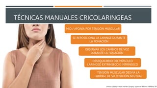TÉCNICAS MANUALES CRICOLARINGEAS
SE REPOSICIONA LA LARINGE DURANTE
LA FONACIÓN
DESEQUILIBRIO DEL MÚSCULO
LARINGEO EXTRÍNSECO E INTRÍNSECO
TENSIÓN MUSCULAR DESVÍA LA
LARINGE DE SU POSICIÓN NEUTRAL
OBSERVAR LOS CAMBIOS DE VOZ
DURANTE LA FONACIÓN
MID / AFONÍA POR TENSIÓN MUSCULAR
Johnson J. Bailey’s Head and Neck Surgery. Lippincott Williams & Wilkins; 2013
 