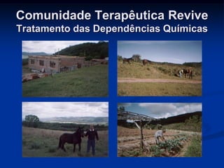 Comunidade Terapêutica Revive
Tratamento das Dependências Químicas
 
