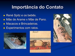 Importância do Contato
   René Spitz e os bebês.
   Mãe de Arame x Mãe de Pano.
   Macacos e Brincadeiras.
   Experimentos com ratos.
 