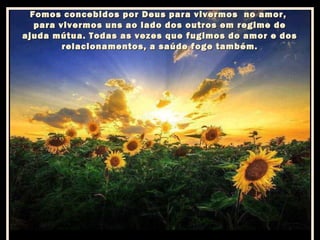 Fomos concebidos por Deus para vivermos no amor,
para vivermos uns ao lado dos outros em regime de
ajuda mútua. Todas as vezes que fugimos do amor e dos
relacionamentos, a saúde foge também.

 