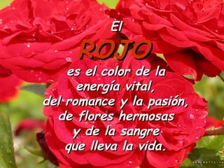 El

     ROJO
    es el color de la
      energía vital,
del romance y la pasión,
  de flores hermosas
     y de la sangre
    que lleva la vida.
 