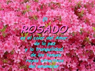 El

ROSADO
es el color del Amor,
      de la paz
  y la tranquilidad,
     de los tenues
  rayos atractivos
   del amanecer.
 