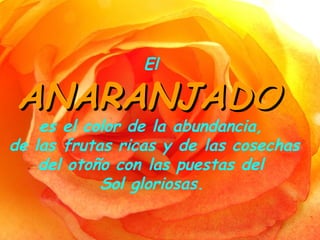 El
ANARANJADOANARANJADO
es el color de la abundancia,
de las frutas ricas y de las cosechas
del otoño con las puestas del
Sol gloriosas.
 