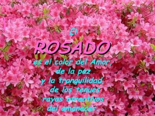 El
ROSADOROSADO
es el color del Amor,
de la paz
y la tranquilidad,
de los tenues
rayos atractivos
del amanecer.
 