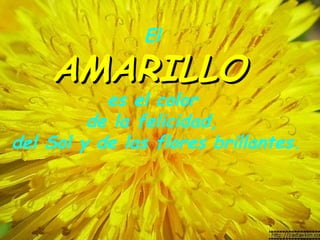 El

    AMARILLO
           es el color
         de la felicidad, 
del Sol y de las flores brillantes.
 