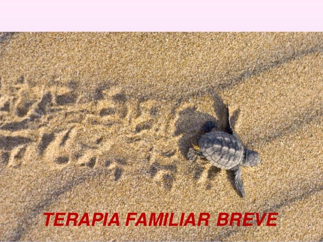 Terapia familiar breve Terapia familiar breve