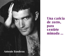 Una caricia de zorro, para sentirte mimada ... Antonio Banderas 