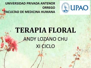 TERAPIA FLORAL
ANDY LOZANO CHU
XI CICLO
UNIVERSIDAD PRIVADA ANTENOR
ORREGO
FACULTAD DE MEDICINA HUMANA
 
