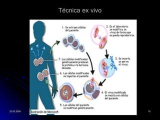 T écnica   ex vivo 