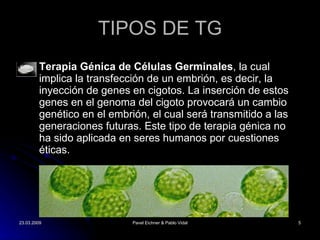 TIPOS DE TG Terapia Génica de Células Germinales , la cu al   implica la transfección de un embrión, es decir, la inyección de genes en cigotos. La inserción de estos genes en el genoma del cigoto provocará un cambio genético en el embrión, el cual será transmitido a las generaciones futuras. Este tipo de terapia génica no ha sido aplicada en seres humanos por cuestiones  éticas. 