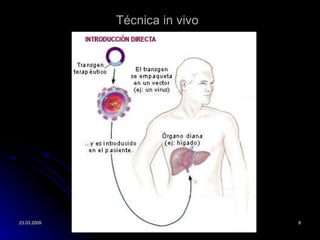 T écnica in vivo 