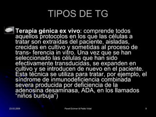 TIPOS DE TG Terapia génica ex vivo : comprende todos aquellos protocolos en los que las células a tratar son extraídas del paciente, aisladas, crecidas en cultivo y sometidas al proceso de trans- ferencia in vitro. Una vez que se han seleccionado las células que han sido efectivamente transducidas, se expanden en cultivo y se introducen de nuevo en el paciente. Esta t écnica se utiliza para tratar,  por ejemplo, el síndrome de inmunodeficiencia combinada severa producida por deficiencia de la adenosina desaminasa, ADA, en los llamados “niños burbuja”) 