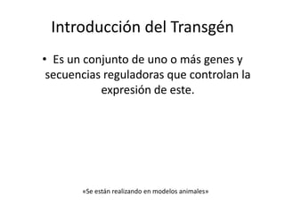 Introducción del Transgén
• Es un conjunto de uno o más genes y
 secuencias reguladoras que controlan la
           expresión de este.




       «Se están realizando en modelos animales»
 