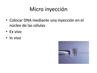 Micro inyección
• Colocar DNA mediante una inyección en el
  núcleo de las células
• Ex vivo
• In vivo
 