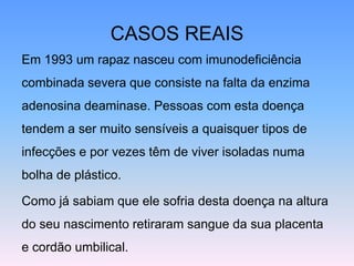 CASOS REAIS
Em 1993 um rapaz nasceu com imunodeficiência
combinada severa que consiste na falta da enzima
adenosina deaminase. Pessoas com esta doença
tendem a ser muito sensíveis a quaisquer tipos de
infecções e por vezes têm de viver isoladas numa
bolha de plástico.
Como já sabiam que ele sofria desta doença na altura
do seu nascimento retiraram sangue da sua placenta
e cordão umbilical.
 