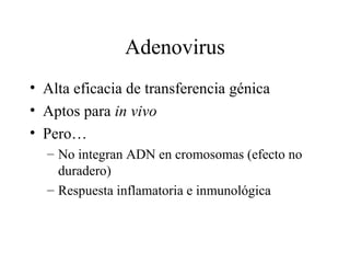 Adenovirus Alta eficacia de transferencia génica Aptos para  in vivo Pero… No integran ADN en cromosomas (efecto no duradero) Respuesta inflamatoria e inmunológica 