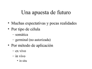 Una apuesta de futuro Muchas expectativas y pocas realidades Por tipo de célula somática germinal (no autorizada) Por método de aplicación ex vivo in vivo in situ 