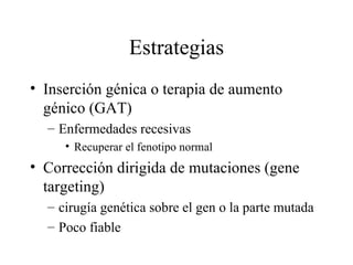 Estrategias Inserción génica o terapia de aumento génico (GAT) Enfermedades recesivas Recuperar el fenotipo normal Corrección dirigida de mutaciones (gene targeting) cirugía genética sobre el gen o la parte mutada Poco fiable 