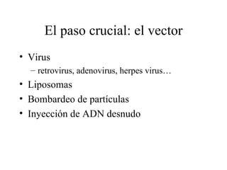 El paso crucial: el vector Virus retrovirus, adenovirus, herpes virus… Liposomas Bombardeo de partículas Inyección de ADN desnudo 