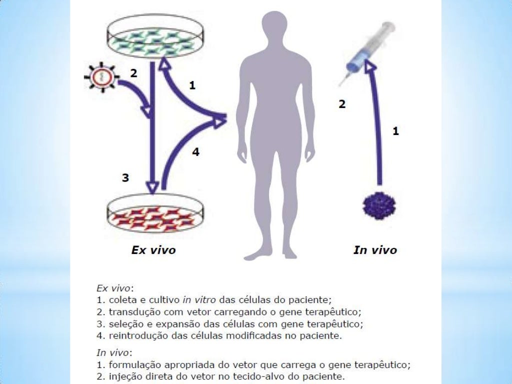 Que Relação Existe Entre A Terapia Gênica E Os Vírus