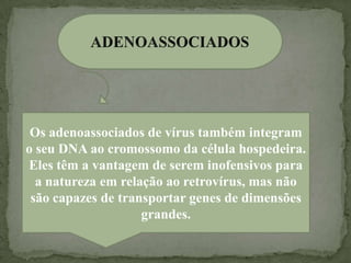 Os adenoassociados de vírus também integram
o seu DNA ao cromossomo da célula hospedeira.
Eles têm a vantagem de serem inofensivos para
  a natureza em relação ao retrovírus, mas não
 são capazes de transportar genes de dimensões
                    grandes.
 