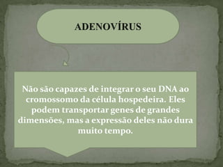 Não são capazes de integrar o seu DNA ao
  cromossomo da célula hospedeira. Eles
   podem transportar genes de grandes
dimensões, mas a expressão deles não dura
              muito tempo.
 