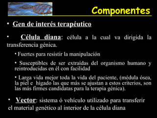 Componentes
• Gen de interés terapéutico
•     Célula diana: célula a la cual va dirigida la
transferencia génica.
  • Fuertes para resistir la manipulación
  • Susceptibles de ser extraídas del organismo humano y
  reintroducidas en él con facilidad
  • Larga vida mejor toda la vida del paciente, (médula ósea,
  la piel e hígado las que más se ajustan a estos criterios, son
  las más firmes candidatas para la terapia génica).
• Vector: sistema ó vehículo utilizado para transferir
el material genético al interior de la célula diana
 