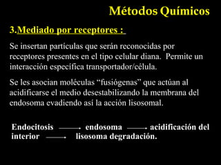 Métodos Químicos
3.Mediado por receptores :
Se insertan partículas que serán reconocidas por
receptores presentes en el tipo celular diana. Permite un
interacción específica transportador/célula.
Se les asocian moléculas “fusiógenas” que actúan al
acidificarse el medio desestabilizando la membrana del
endosoma evadiendo así la acción lisosomal.

Endocitosis           endosoma        acidificación del
interior           lisosoma degradación.
 