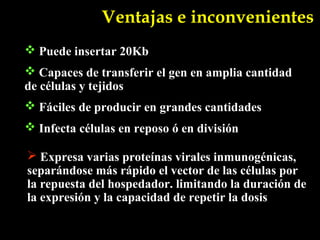 Ventajas e inconvenientes
 Puede insertar 20Kb
 Capaces de transferir el gen en amplia cantidad
de células y tejidos
 Fáciles de producir en grandes cantidades
 Infecta células en reposo ó en división

 Expresa varias proteínas virales inmunogénicas,
separándose más rápido el vector de las células por
la repuesta del hospedador. limitando la duración de
la expresión y la capacidad de repetir la dosis
 