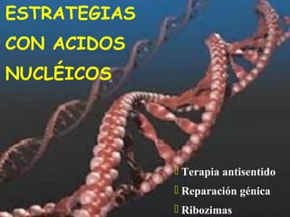 ESTRATEGIAS
CON ACIDOS
NUCLÉICOS




               Terapia antisentido
               Reparación génica
               Ribozimas
 