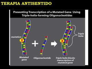 TERAPIA ANTISENTIDO
 