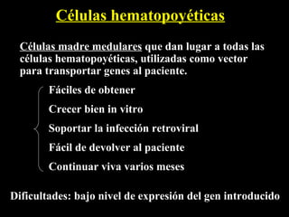 Células hematopoyéticas
  Células madre medulares que dan lugar a todas las
  células hematopoyéticas, utilizadas como vector
  para transportar genes al paciente.
        Fáciles de obtener
        Crecer bien in vitro
        Soportar la infección retroviral
        Fácil de devolver al paciente
        Continuar viva varios meses

Dificultades: bajo nivel de expresión del gen introducido
 