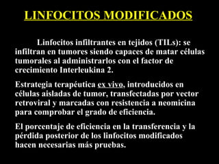 LINFOCITOS MODIFICADOS

       Linfocitos infiltrantes en tejidos (TILs): se
infiltran en tumores siendo capaces de matar células
tumorales al administrarlos con el factor de
crecimiento Interleukina 2.
Estrategia terapéutica ex vivo, introducidos en
células aisladas de tumor, transfectadas por vector
retroviral y marcadas con resistencia a neomicina
para comprobar el grado de eficiencia.
El porcentaje de eficiencia en la transferencia y la
pérdida posterior de los linfocitos modificados
hacen necesarias más pruebas.
 