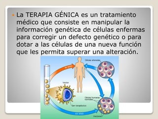  La TERAPIA GÉNICA es un tratamiento
médico que consiste en manipular la
información genética de células enfermas
para corregir un defecto genético o para
dotar a las células de una nueva función
que les permita superar una alteración.