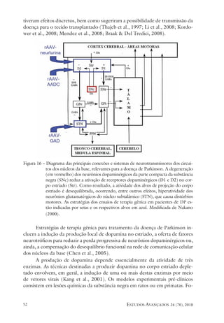 estudos avançados 24 (70), 2010
52
tiveram efeitos discretos, bem como sugeriram a possibilidade de transmissão da
doença para o tecido transplantado (Thajeb et al., 1997; Li et al., 2008; Kordo-
wer et al., 2008; Mendez et al., 2008; Braak & Del Tredici, 2008).
Figura 16 – Diagrama das principais conexões e sistemas de neurotransmissores dos circui-
tos dos núcleos da base, relevantes para a doença de Parkinson. A degeneração
(em vermelho) dos neurônios dopaminérgicos da parte compacta da substância
negra (SNc) reduz a ativação de receptores dopaminérgicos (D1 e D2) no cor-
po estriado (Str). Como resultado, a atividade dos alvos de projeção do corpo
estriado é desequilibrada, ocorrendo, entre outros efeitos, hiperatividade dos
neurônios glutamatérgicos do núcleo subtalâmico (STN), que causa distúrbios
motores. As estratégias dos ensaios de terapia gênica em pacientes de DP es-
tão indicadas por setas e os respectivos alvos em azul. Modificada de Nakano
(2000).
Estratégias de terapia gênica para tratamento da doença de Parkinson in-
cluem a indução da produção local de dopamina no estriado, a oferta de fatores
neurotróficos para reduzir a perda progressiva de neurônios dopaminérgicos ou,
ainda, a compensação do desequilíbrio funcional na rede de comunicação celular
dos núcleos da base (Chen et al., 2005).
A produção de dopamina depende essencialmente da atividade de três
enzimas. As técnicas destinadas a produzir dopamina no corpo estriado deple-
tado envolvem, em geral, a indução de uma ou mais destas enzimas por meio
de vetores virais (Kang et al., 2001). Os modelos experimentais pré-clínicos
consistem em lesões químicas da substância negra em ratos ou em primatas. Fo-
 