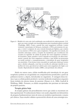 estudos avançados 24 (70), 2010 39
Figura 4 – Modelo de vetor não viral combinado com molécula de endereçamento. A fi-
gura usa como exemplo um imunolipossomo para transdução gênica cerebral
(Pardridge, 2005). Como a parede dos vasos sanguíneos cerebrais é muito
resistente à penetração de fármacos, incluindo o DNA, provenientes do san-
gue, o vetor é composto de uma vesícula formada por lipídeos, que contém
no seu interior o DNA com o gene terapêutico. Na superfície da vesícula, são
inseridos anticorpos contra o receptor de transferrina que reconhecem esse
receptor na superfície de células da parede dos vasos sanguíneos cerebrais e
de neurônios. Assim, quando o vetor é injetado na circulação, ele adere forte-
mente à parede dos vasos sanguíneos cerebrais, o que facilita sua penetração
no tecido cerebral e, consequentemente, a introdução do gene terapêutico
nos neurônios. Uma técnica como essa pode ser usada para endereçar vetores
para o destino adequado, com base na escolha do anticorpo inserido na su-
perfície do vetor, que deverá ser seletivo para vasos sanguíneos do órgão a ser
tratado. Reproduzida de Linden (2008), com permissão dos editores.
Ainda em outros casos, células modificadas pela introdução de um gene
terapêutico podem ser encapsuladas em compartimentos produzidos a partir de
polímeros inertes e, depois, introduzidas no organismo. A vantagem dessa téc-
nica é que as células podem produzir e secretar moléculas terapêuticas enquanto
ficam isoladas do sistema imune do paciente (Hauser et al., 2004; Lindvall &
Wahlberg, 2008). Portanto, as células encapsuladas não precisam ser derivadas
do próprio paciente.
Terapia gênica hoje
As terapias gênicas são procedimentos novos que ainda se encontram em
fase experimental. O conhecimento básico vem sendo adquirido em laboratórios
de pesquisa fundamental por meio de testes em modelos experimentais e ensaios
pré-clínicos. Esses estudos validam o potencial de eficácia de uma estratégia tera-
 