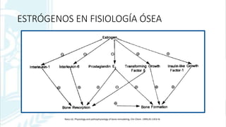 ESTRÓGENOS EN FISIOLOGÍA ÓSEA
Raisz LG. Physiology and pathophysiology of bone remodeling. Clin Chem. 1999;45:1353–8.
 
