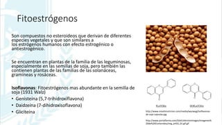 Fitoestrógenos
Son compuestos no esteroideos que derivan de diferentes
especies vegetales y que son similares a
los estróg...