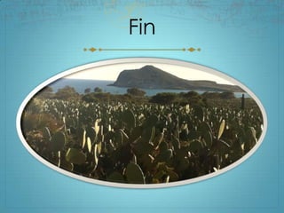 Fin
 