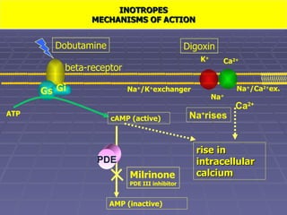 Agentes Inotropicos Terapia inotropica vasodilatadora | PPT